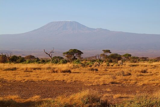 3 Days Amboseli Safari
