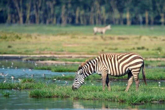 Nairobi Excursions