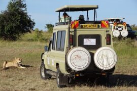3 Days Maasai Mara Safari
