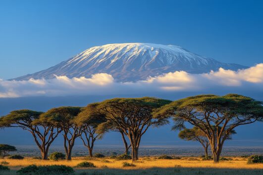 7 Days Northern Expeditions - Tanzania
