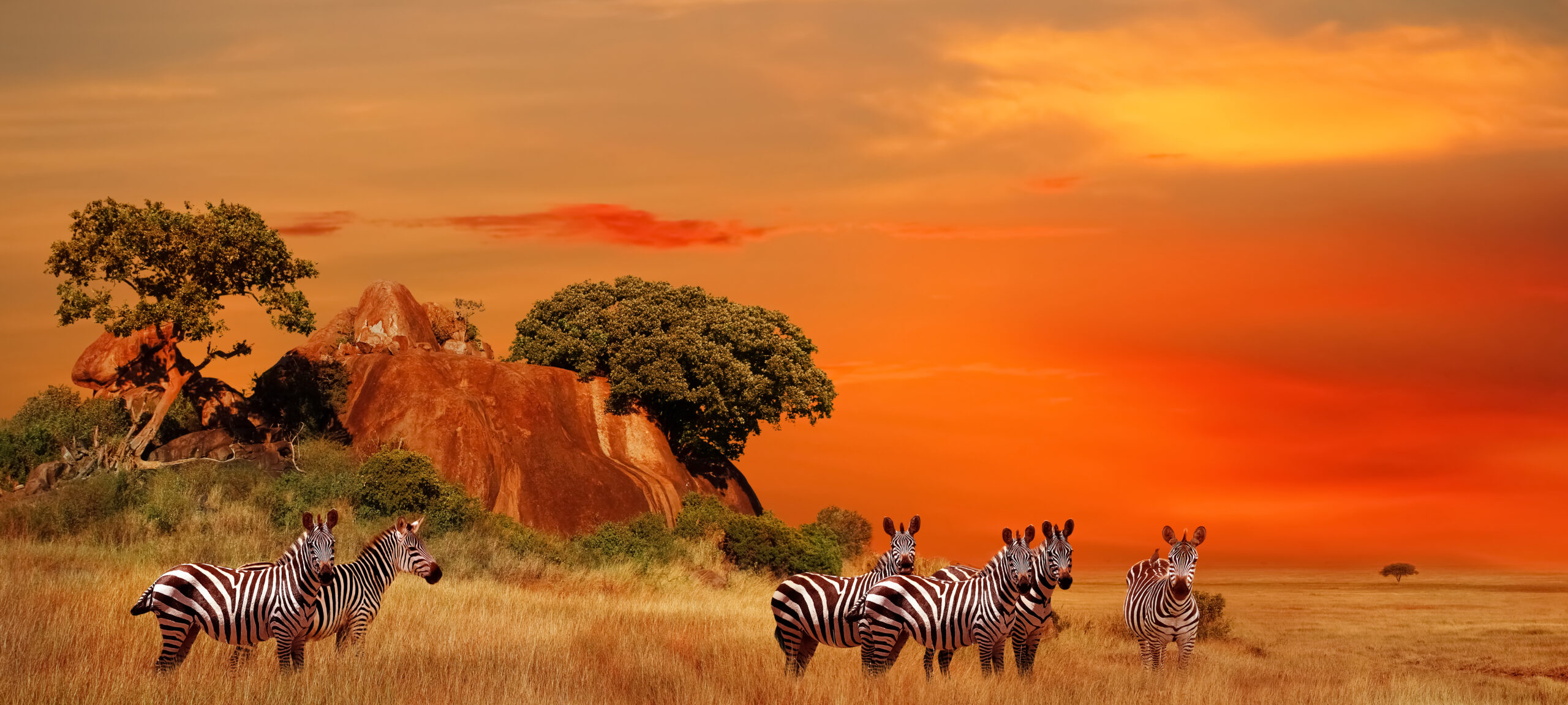 6 Days – Essence Of Tanzania